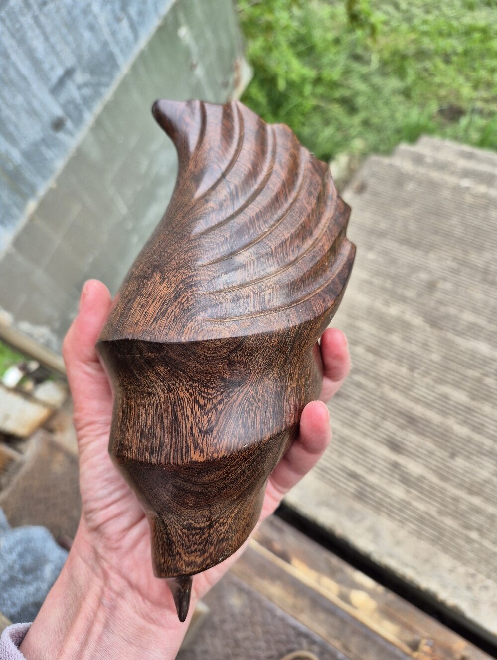 Ironwood Conch Shell Carving MCM